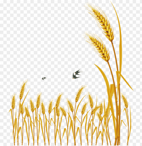hand painted cartoon delicate wheat decorative - free vector wheat HighResolution PNG Isolated on Transparent Background