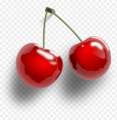 hand painted cherry vector - cherry Transparent graphics PNG