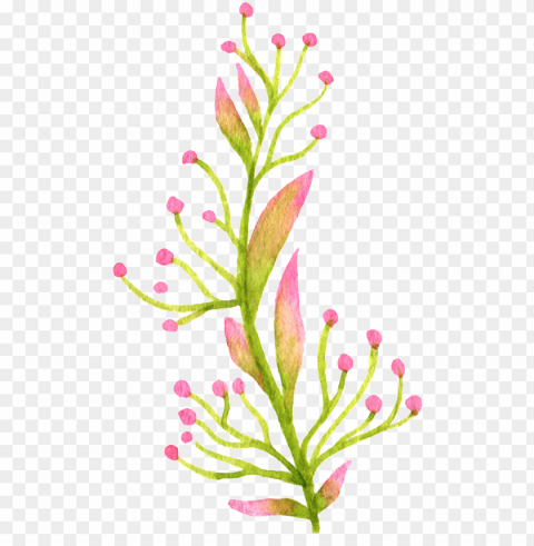 hand painted colored flowers and plants watercolor - watercolor painti Isolated PNG Object with Clear Background