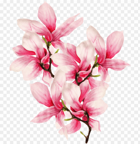 hand painted delicate magnolia flower - alonea 5d embroidery paintings rhinestone pasted diy PNG transparent graphics comprehensive assortment PNG transparent with Clear Background ID 2428d69c