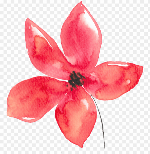hand painted five petals red flower watercolor - flor acuarela Free PNG images with transparent layers diverse compilation