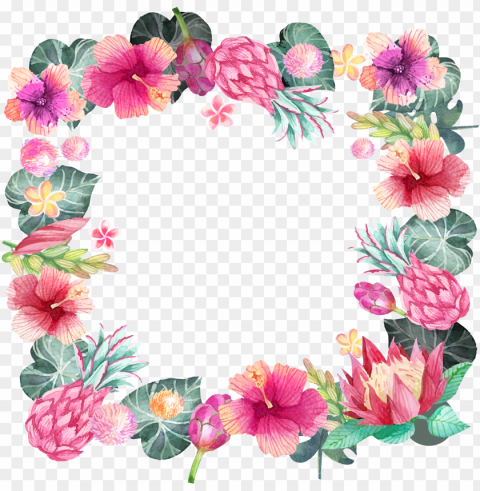 hand painted flower borders PNG for online use