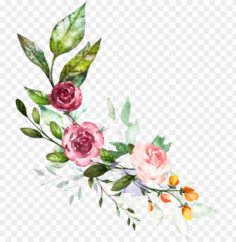 hand painted flower rose PNG for personal use