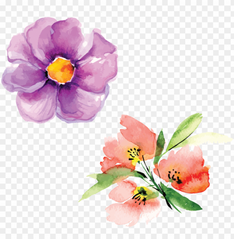 hand painted flowers hd beautiful petals illustration - watercolor painti PNG with transparent background free