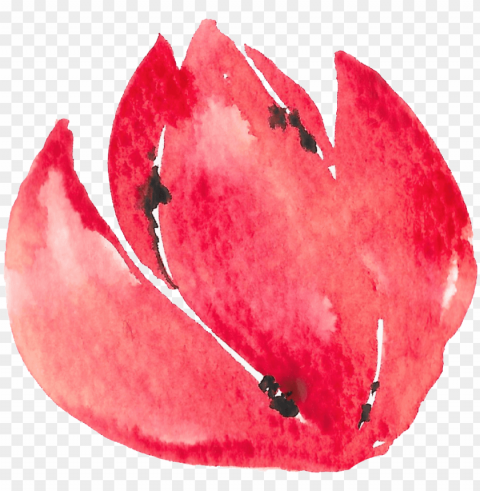 hand painted half open flower watercolor transparent - visual arts Free PNG images with alpha transparency comprehensive compilation