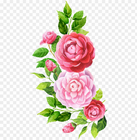 hand painted pink flower - watercolor painti PNG images with transparent space