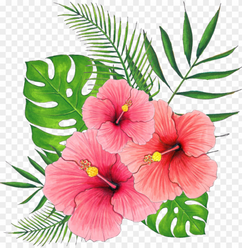 hand painted summer hibiscus flower - 扶桑 花 Transparent background PNG images complete pack