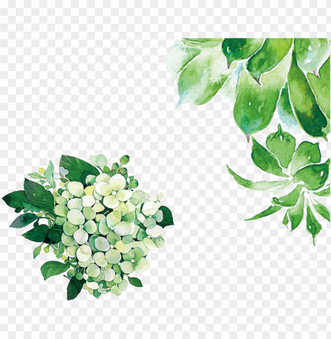 hand painted watercolor green leaves decorative - gree PNG transparent designs for projects