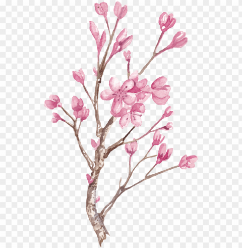 hand painted winter plum blossom branch - watercolor painti Transparent Background Isolated PNG Design