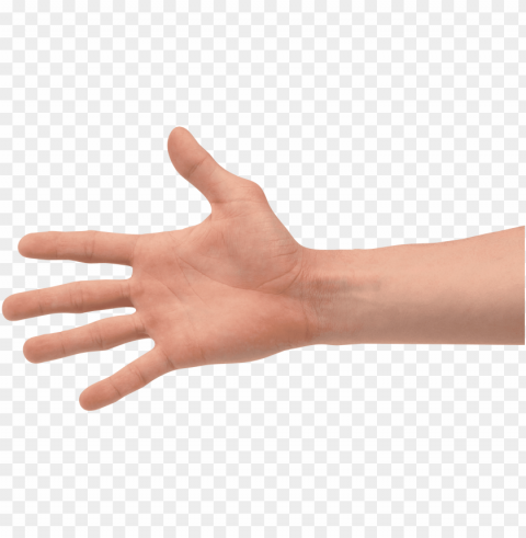 Hands Transparent Background Isolated PNG Figure