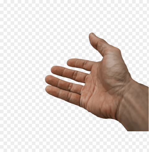 hands Transparent Background PNG Isolated Graphic