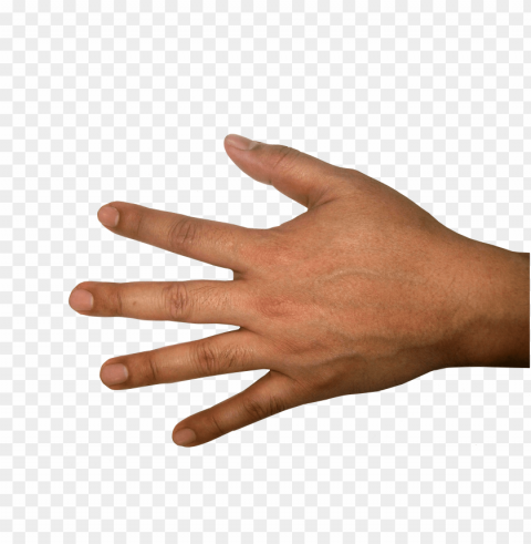 Hands Transparent PNG Graphics Archive