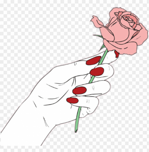 hands tumblr flower rose - wallpaper PNG Image with Isolated Transparency