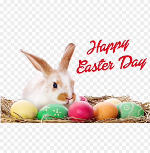 happy easter bunny - happy easter egg Transparent PNG photos for projects