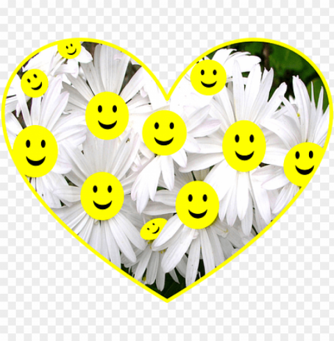 happy face daisy flowers smiley smiling wh - smile PNG pictures with alpha transparency