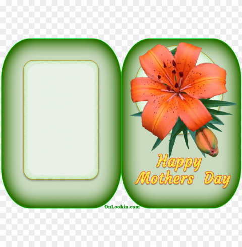 happy mothers day tiger lily flower - happy mothers flower cards Isolated Subject in HighQuality Transparent PNG