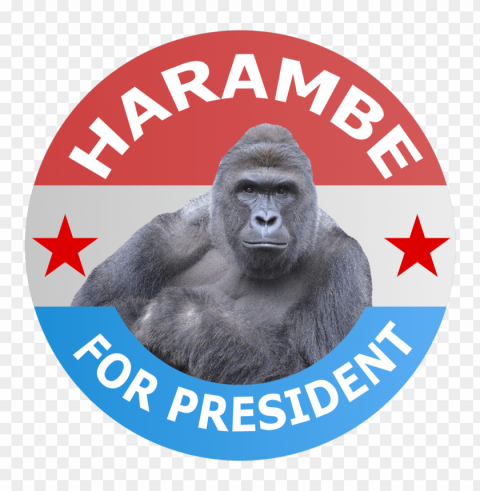 harambe for president PNG with no background free download