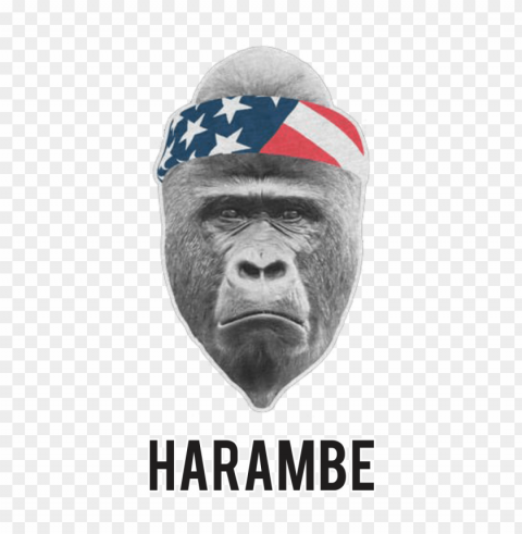 harambe headband PNG with no background required