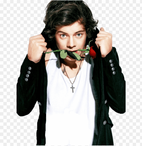 harry styles favorite color harry styles favorite - harry styles with rose PNG transparent vectors