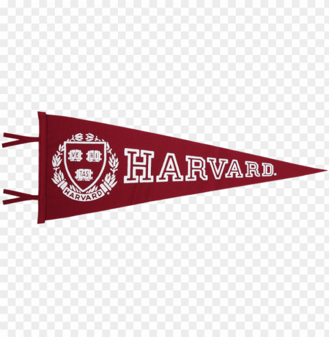 harvard university pennant - michigan pennant Isolated Element with Clear Background PNG