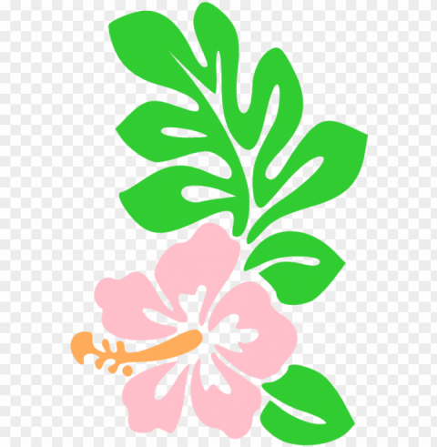 hawaii flower cartoon draw hawaiian flowers icon - hawaiian flower cartoon PNG Graphic Isolated on Transparent Background