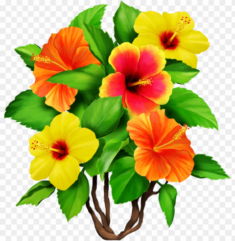 hawaiian aloha tropical - clipart bouquet hibiscus flowers Isolated Design Element in HighQuality PNG