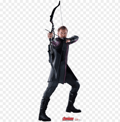 hawkeye high-quality image - hawkeye PNG with no background diverse variety