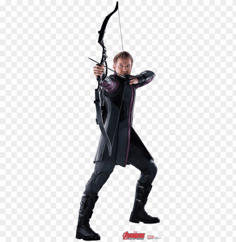 hawkeye high-quality image - hawkeye PNG with no background diverse variety PNG transparent with Clear Background ID bf0688ec