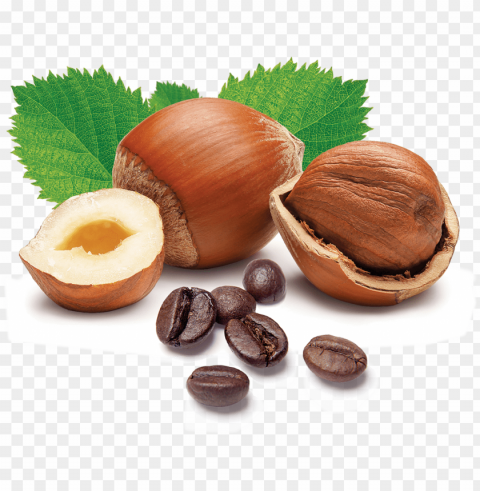hazelnut latte nsa - hazelnuts PNG files with no background bundle PNG transparent with Clear Background ID 6e192112