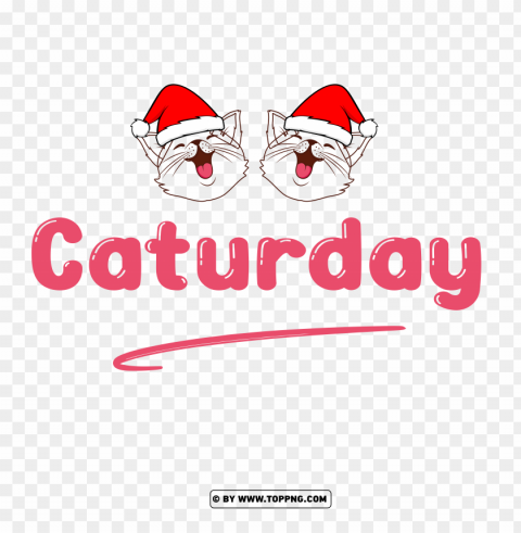 hd caturday with santa claus cartoon hat PNG Image with Transparent Cutout