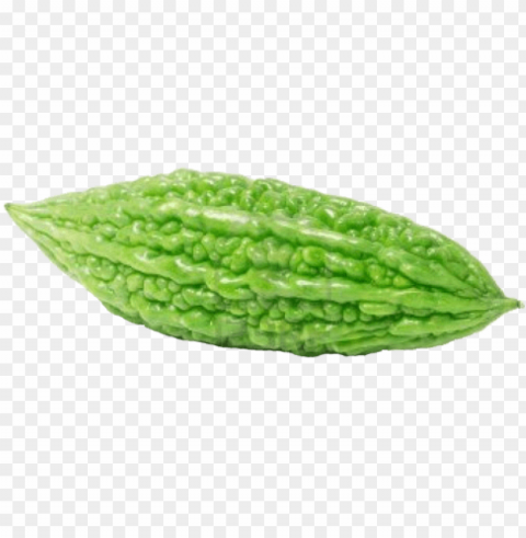 hd of bitter gourd Transparent PNG images free download