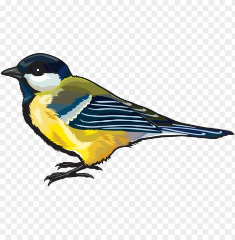 Hdbirds Isolated Item In Transparent PNG Format