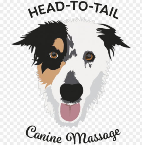 head to tail clinical canine massage - companion do PNG clipart with transparency