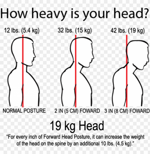 headweight - posture head weight k HighQuality Transparent PNG Element