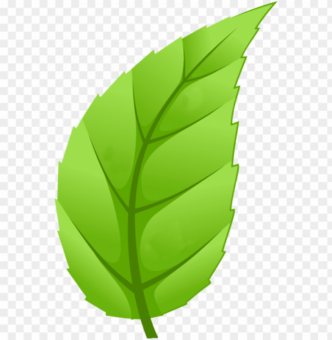 healthy communities - leaf trees High-resolution PNG images with transparent background