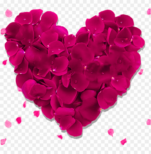heart rose image - red aesthetic valentines day Free download PNG images with alpha channel
