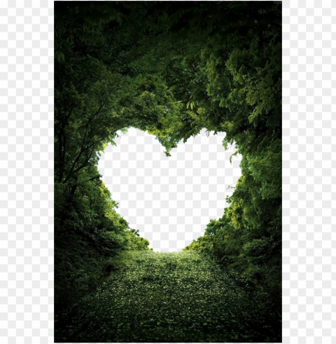 heart shape on nature trees PNG graphics with alpha transparency bundle