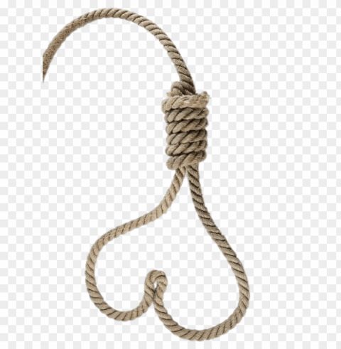 heart shaped noose PNG images with no background needed