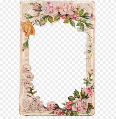 help your garden grow with these simple tips - flower vintage frame Isolated Object in HighQuality Transparent PNG