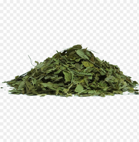 herbs - tea leaves background Transparent PNG images for design