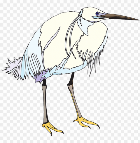 heron PNG images with no royalties