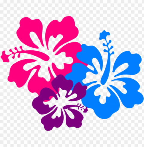 hibiscus border - hibiscus clip art HighResolution Transparent PNG Isolated Graphic PNG transparent with Clear Background ID d92d4c69