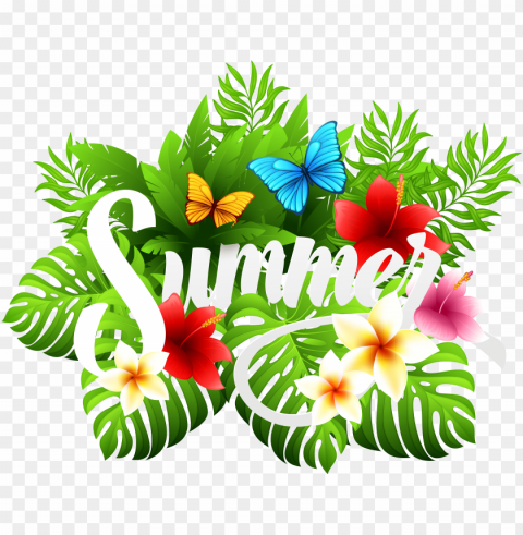 hibiscus clipart vacation - summer clipart PNG image with no background