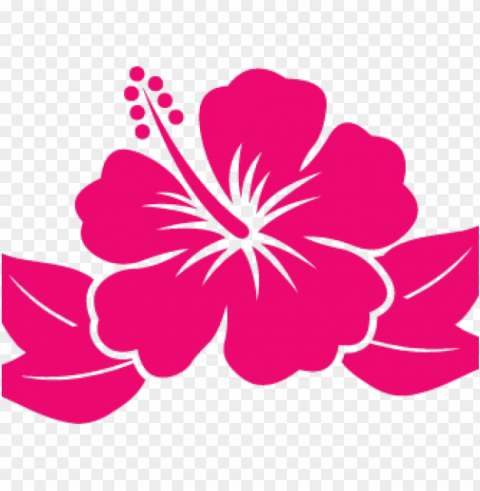 hibiscus flower cartoo Transparent background PNG artworks
