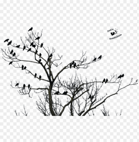 high resolution horror clipart - tree birds Free PNG images with transparent layers compilation
