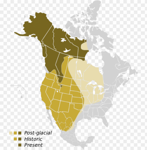 historic and present grizzly bear population maps Clear pics PNG