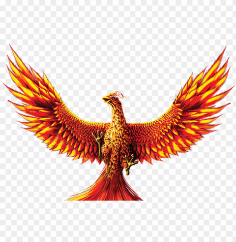 hoenix file - phoenix Isolated Element on Transparent PNG PNG transparent with Clear Background ID fb816876