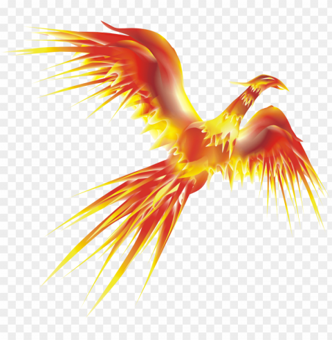 hoenix transpa images pluspng - fenix corel draw Isolated PNG Graphic with Transparency