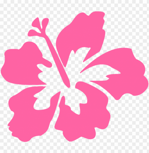 hola me puden ayudar - flores hawaianas dibujo PNG images with transparent canvas