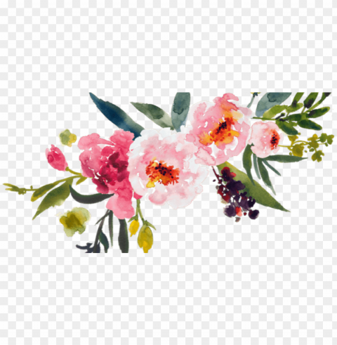 holla everyone - watercolor flowers HighResolution PNG Isolated on Transparent Background
